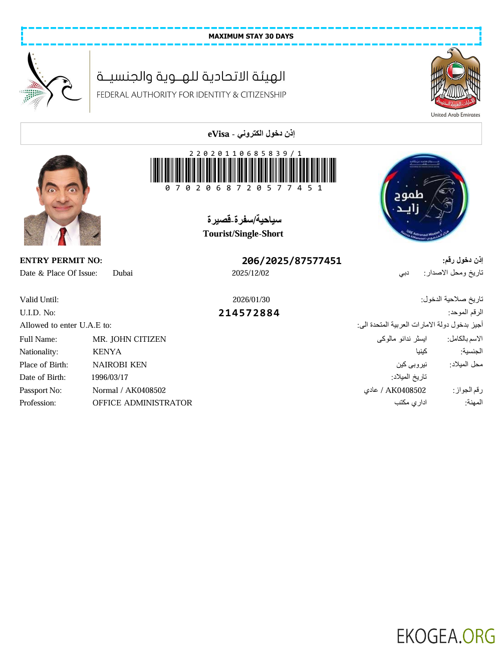 Modèle de visa électronique des Émirats arabes unis aux formats Word et PDF, version 6